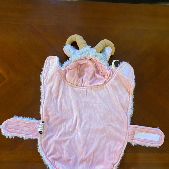 Halloween Bo Peep & dog sheep!! - Picture 10 of 13